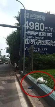 今日自贡大爆料,揭秘今日热点事件背后的真相